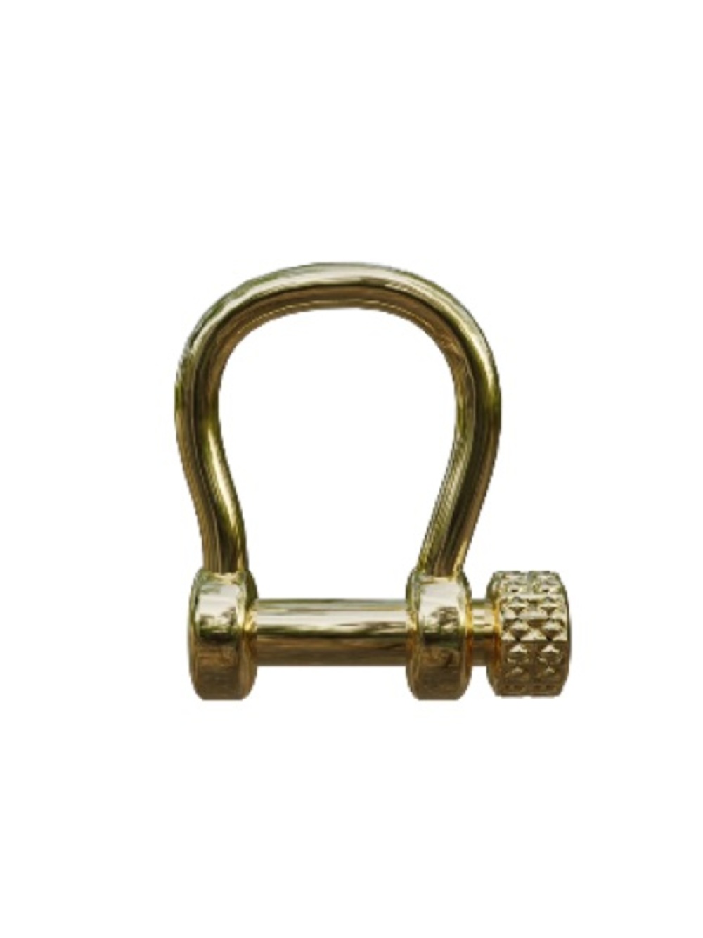 Spicy Dan gold carabiner- NIB